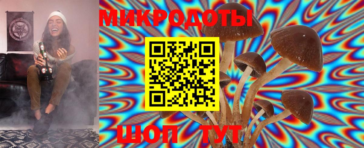 Галлюциногенные грибы Psilocybine cubensis Михайловка