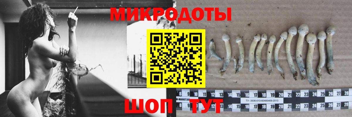 Михайловка  Галлюциногенные грибы Psilocybe  Вход с VPN 